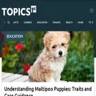 topics1st.com