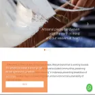 torajamelo.com