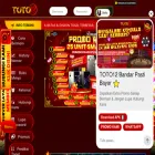 toto12.com