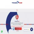 tradefxp.com
