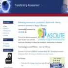transformingassessment.com