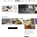 transworldskateboarding.com