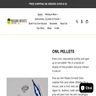 treasurebucketsco.com