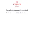 treasurejuwelier.nl