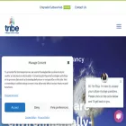 tribeculturechange.com