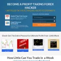 tribeforex.com