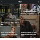 triipmag.com