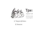 tri-kota.ru