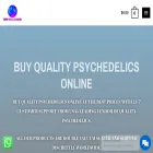 tripinpremiumsnacks.com