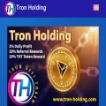 tron-holding.com