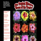 trop-hibiscus.com