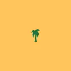 tropicalmoscato.it