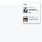 trumpcryp.online