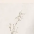 try-kaori.com