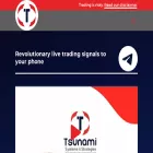 tsunami-tradingss.com