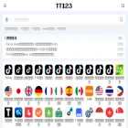 tt123.com