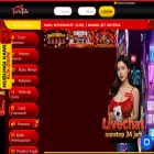 turkitotopusat.com