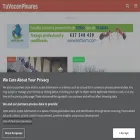 tuvozenpinares.com