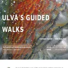 ulva.co.nz