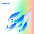 uniwhale.co