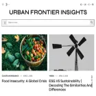 urbanfrontierinsights.com