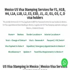 usvisastampinginmexico.com