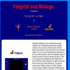 valgetal.com