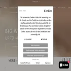 vanessabaroni.com