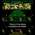 vanilla47.com