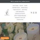 vantoriaessentials.com