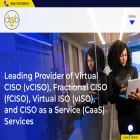 vcisoservices.com