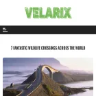 velarix.net