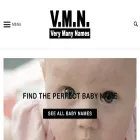 verymanynames.com