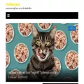 vetbasket.com
