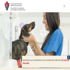 veterinairesaucanada.net