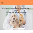 veterinariocerca.com.mx