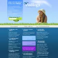 viabloga.com