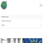 viajanteambulante.com.br