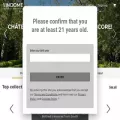 vindome.net