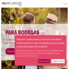 vinoinfluencers.com