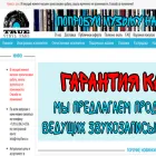 vinylfans.ru