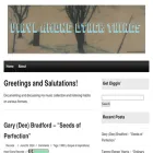 vinylsamongotherthings.com