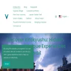 visionservice.io