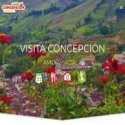 visitaconcepcion.com