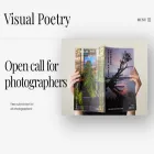 visualpoetryjournal.com
