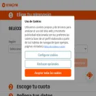 vivagym.com