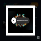vortexbird.com