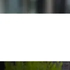 vsistem.ru