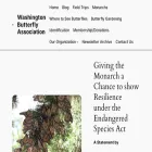wabutterflyassoc.org