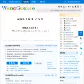 wan163.com